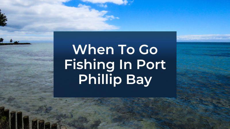 When To Fish Port Phillip