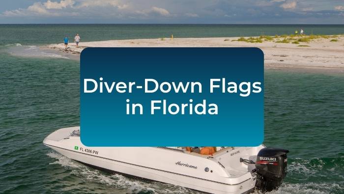 Florida-dive-flags-diver-down