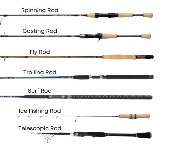 Types Of Fishing Rods Explained 7 Different Types Of Fishing Rods Types Of Fishing Rods Explained 7 Different Types Of Fishing Rods