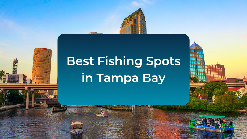 best-fishing-spots-tampa-bay