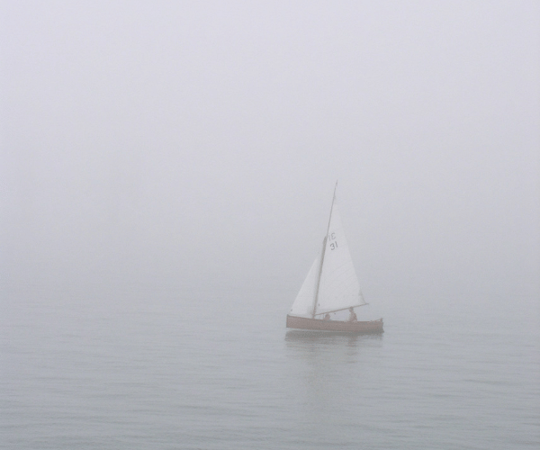 savvy-navvy-pricing-overview