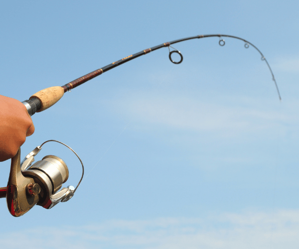 tampa-bay-fishing-overview